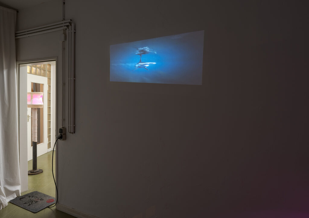 Of Cats and Crones, installation view with works of Christian Theiß and Thomas Hawranke, MÉLANGE 2023. Photo: Philip Hinge